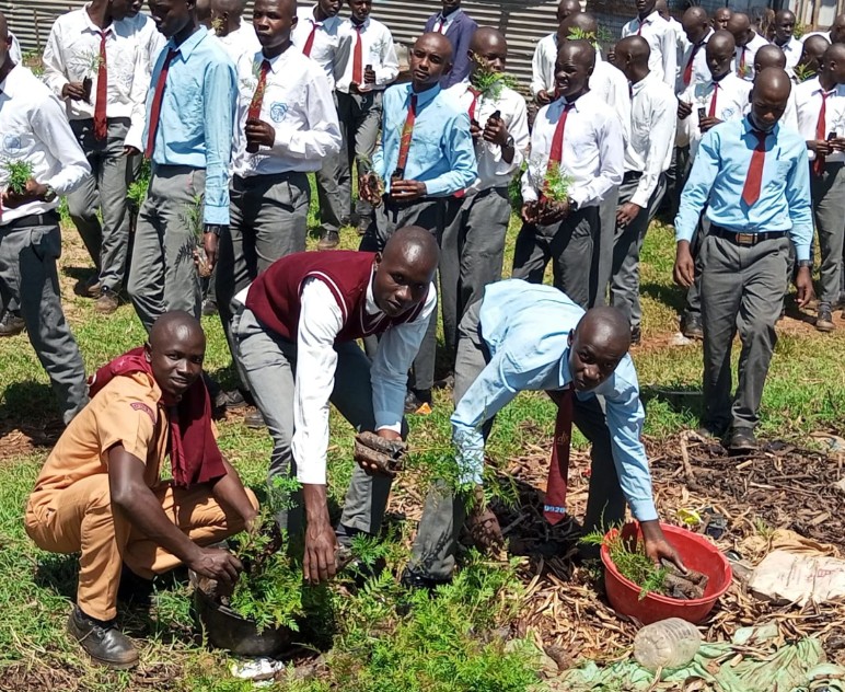 Tree Planting